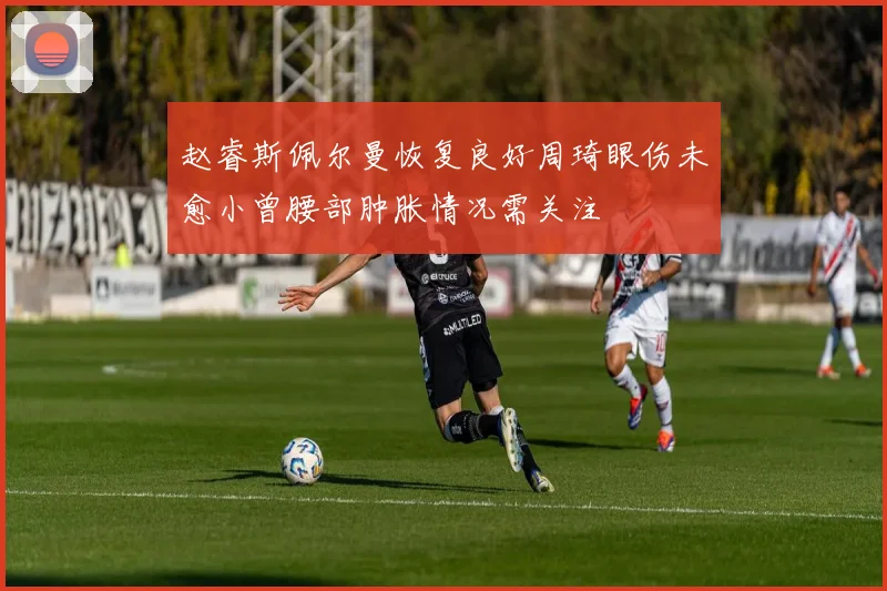 赵睿斯佩尔曼恢复良好周琦眼伤未愈小曾腰部肿胀情况需关注