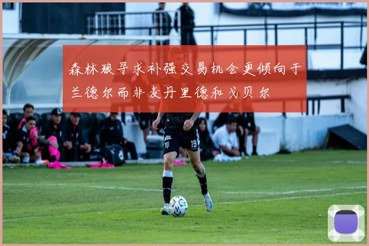 森林狼寻求补强交易机会更倾向于兰德尔而非麦丹里德和戈贝尔