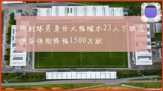 热刺球员身价大幅缩水23人下跌范德芬领衔降幅1500万欧